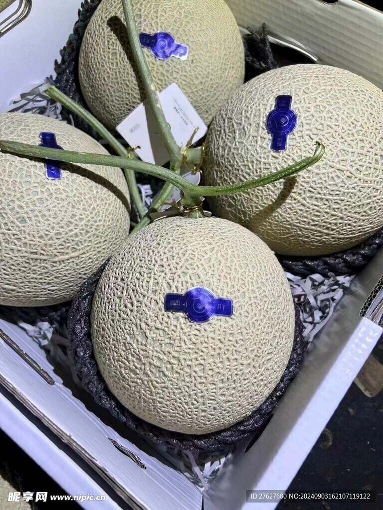 哈密瓜