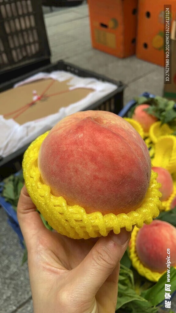 桃子