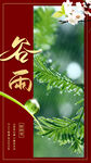谷雨海报