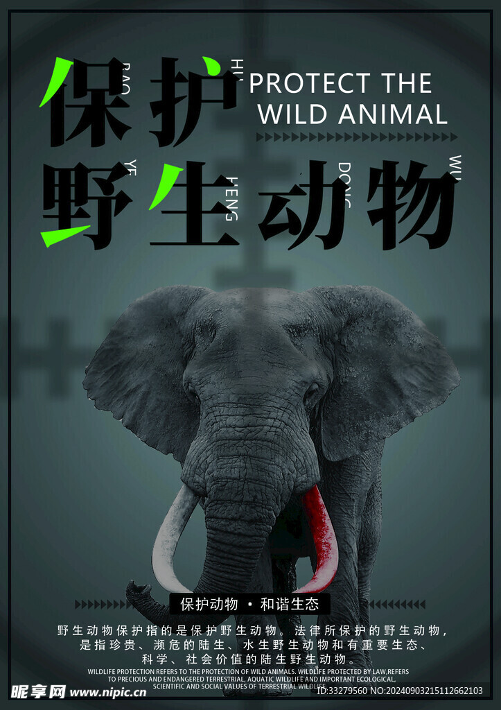 保护动物海报