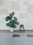 客厅   装修背景墙 