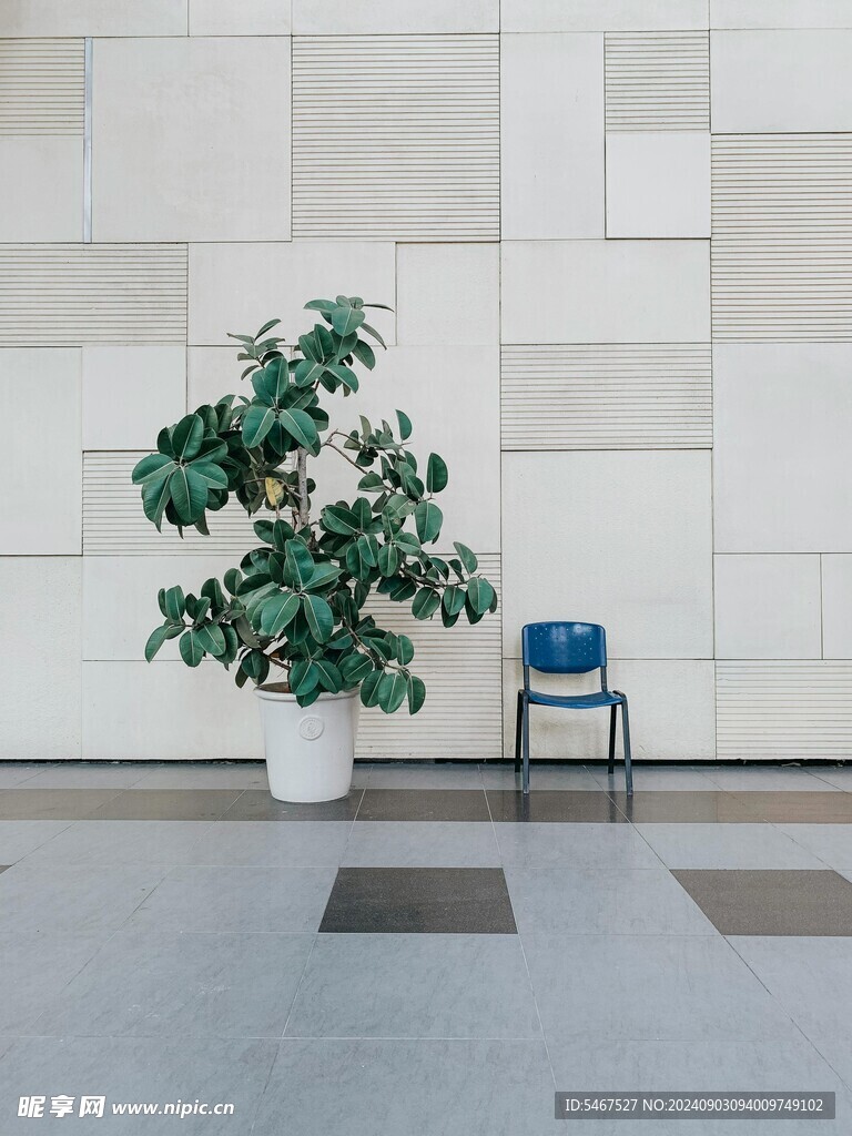 客厅   装修背景墙 