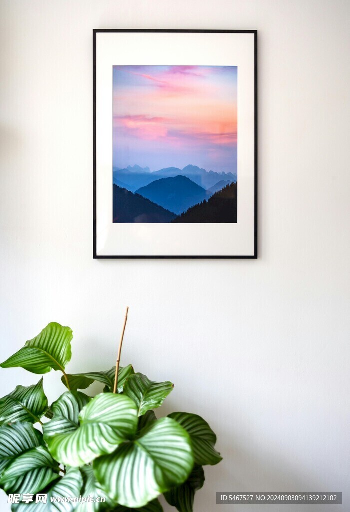 画框 展览 展厅 
