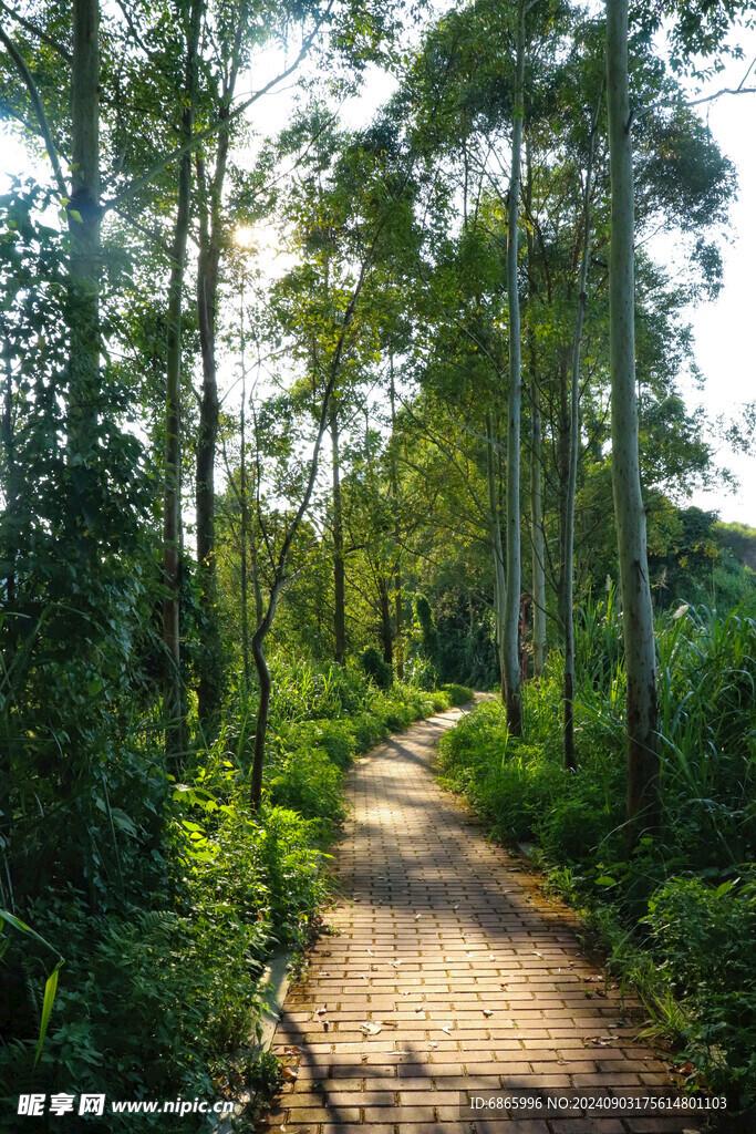 休闲步道