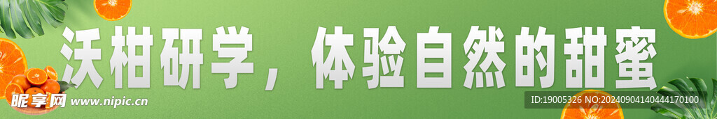 沃柑研学横幅标语