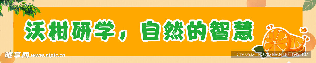 沃柑研学横幅标语