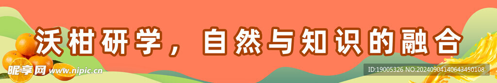 沃柑研学标语