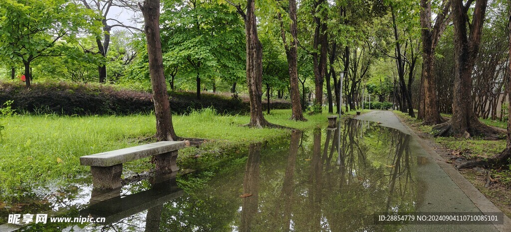 雨水