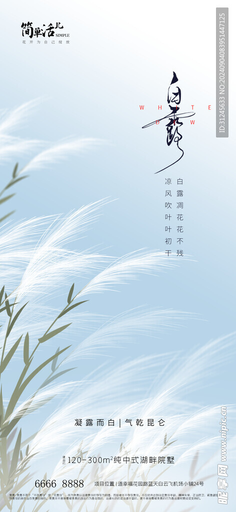 地产白露海报