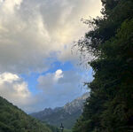黄山