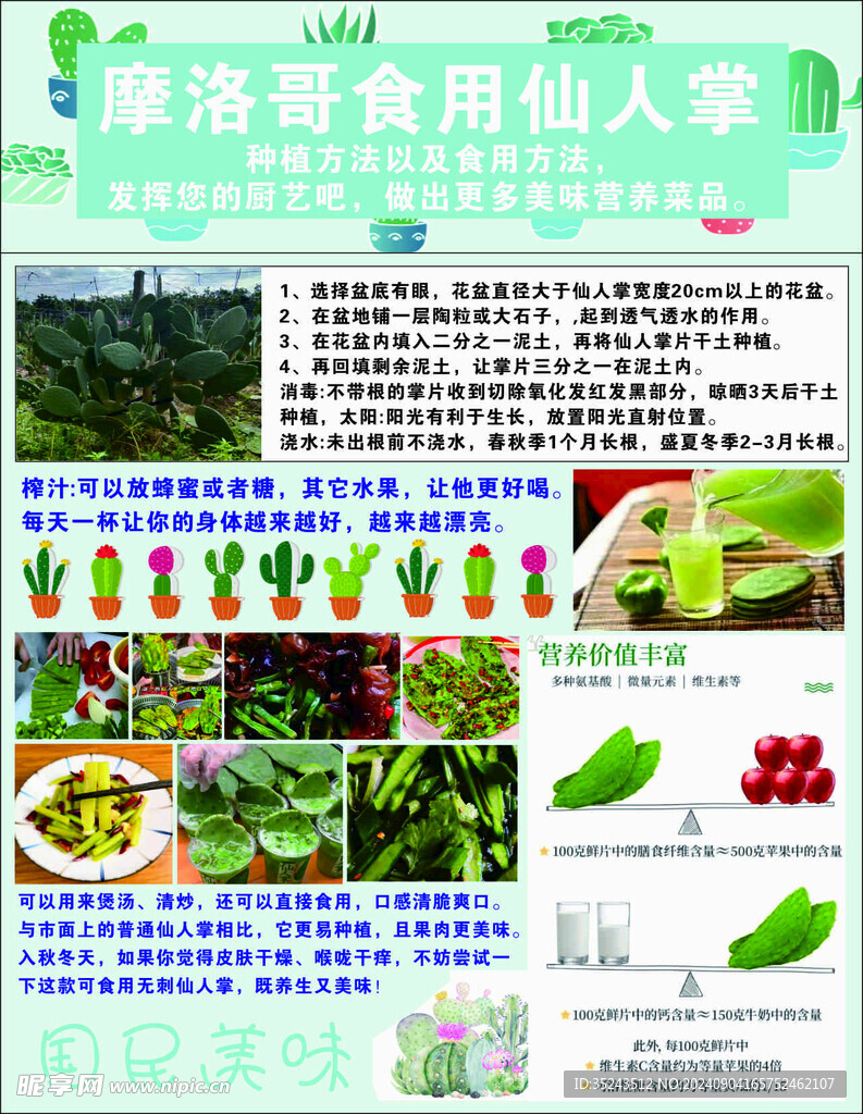 仙人掌