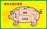 猪肉分割图