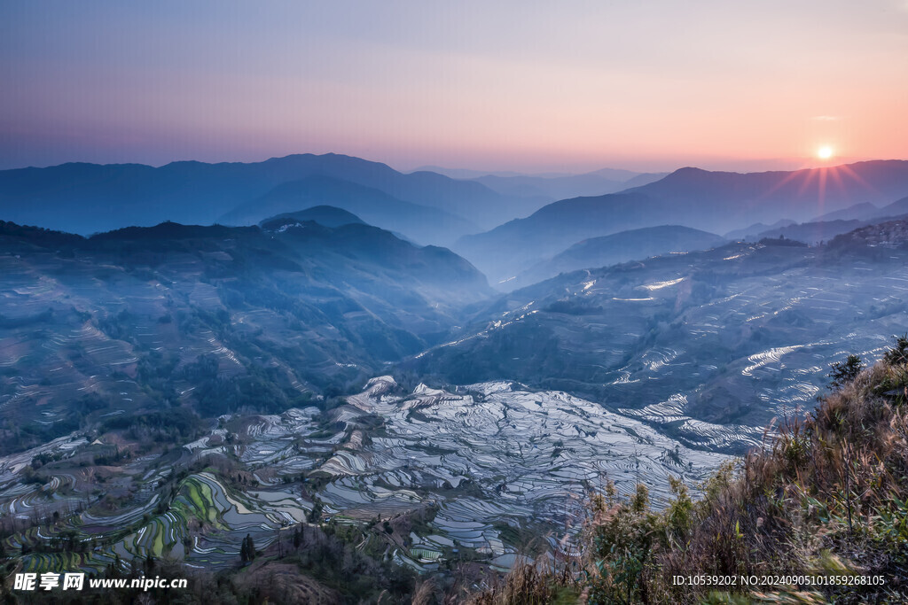山