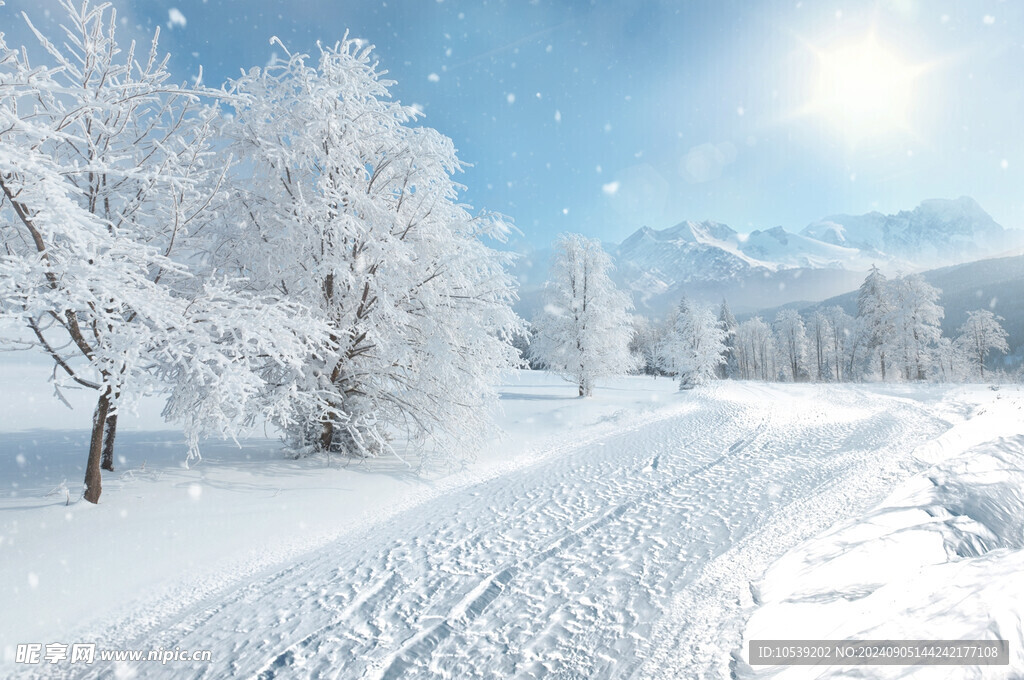 冬季雪景