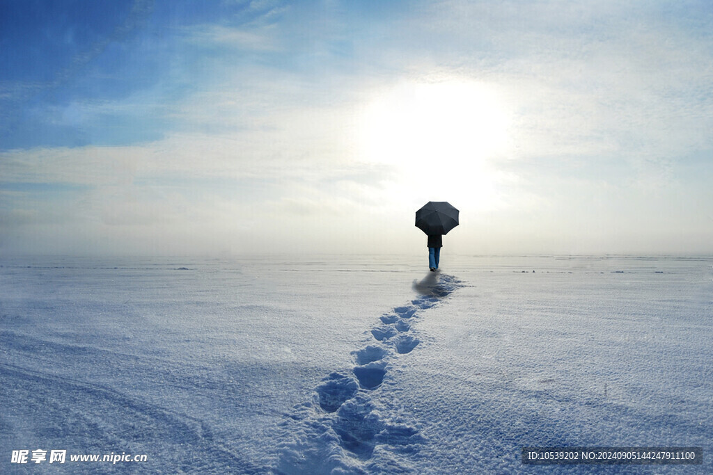冬季雪景