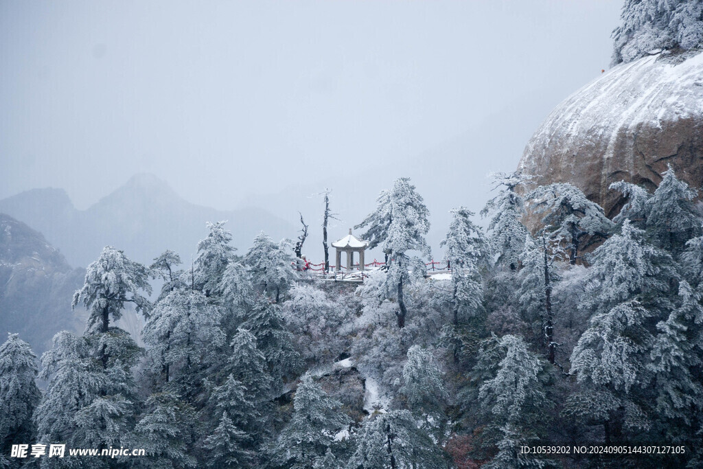 雪景