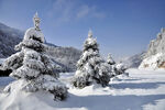 冬季雪景