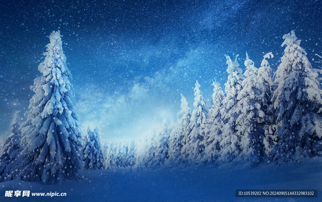冬季雪景