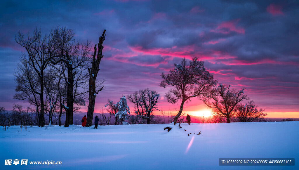 雪景