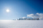 冬季雪景