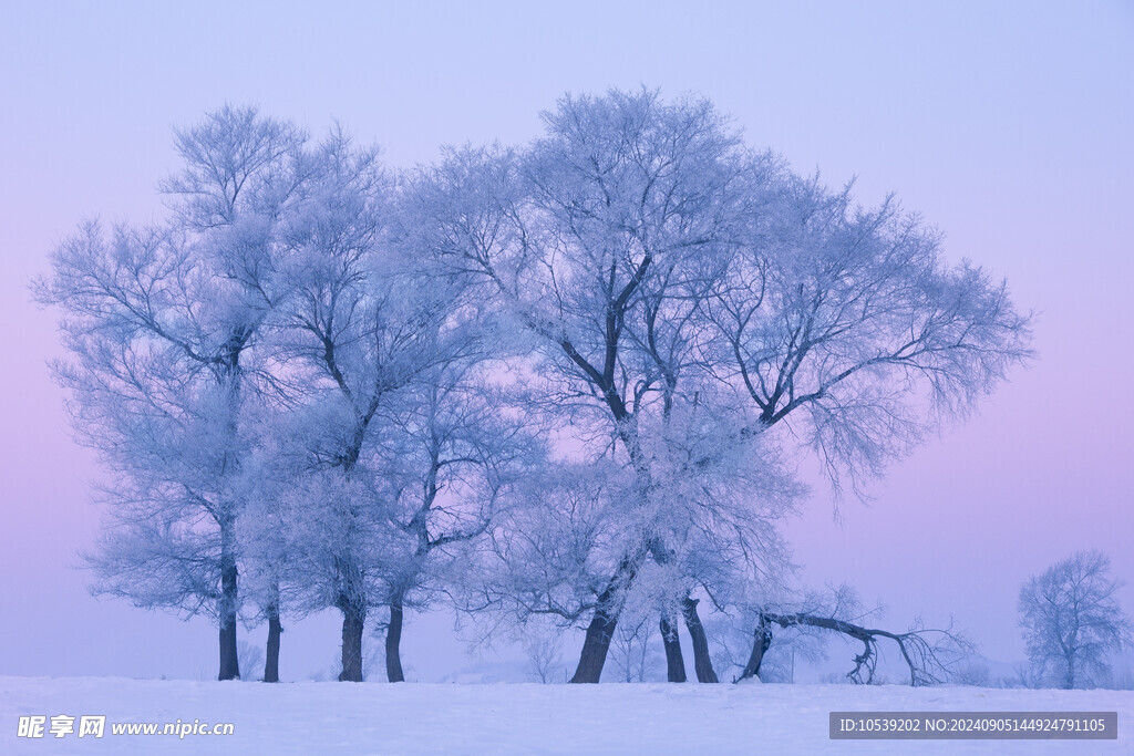 冬季雪景