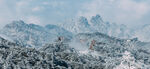 冬季雪景