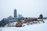 冬季雪景
