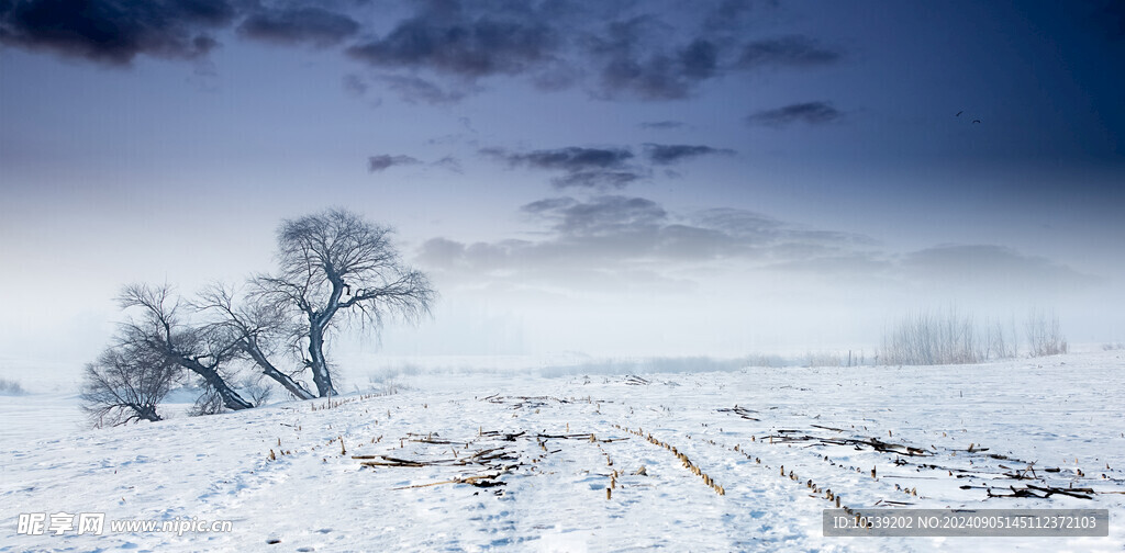 冬季雪景