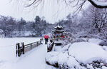 冬季雪景