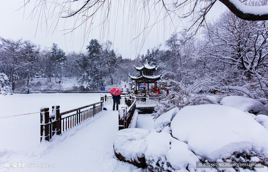 冬季雪景