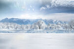冬季雪景