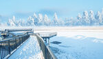 冬季雪景