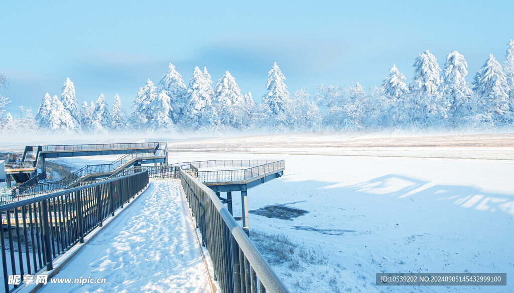 冬季雪景