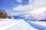 冬季雪景