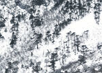 冬季雪景