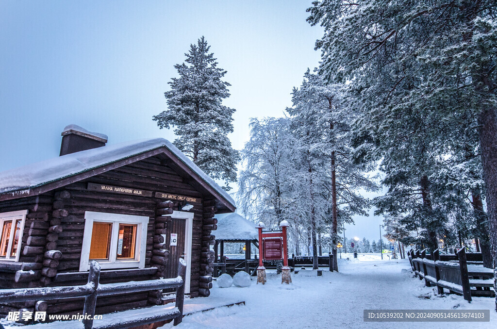 冬季雪景