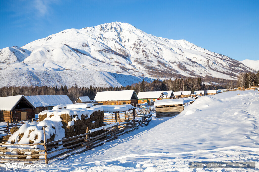 冬季雪景 