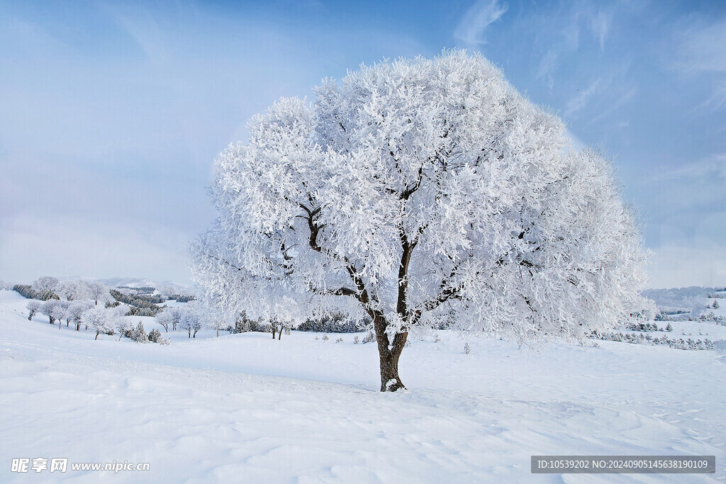 冬季雪景