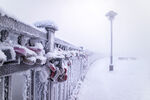 冬季雪景
