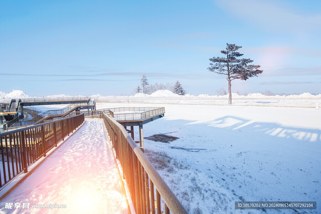 冬季雪景