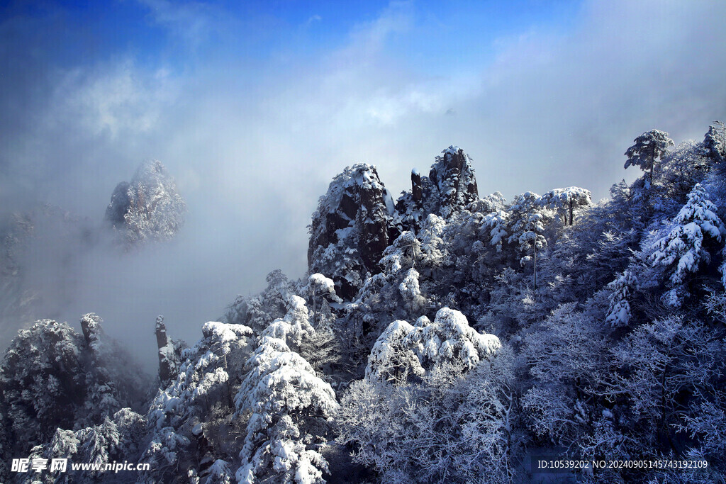 雪景