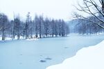 冬季雪景