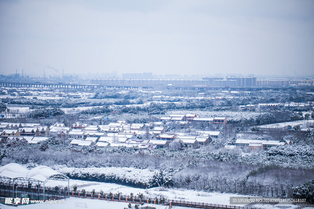 冬季雪景