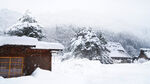 冬季雪景 