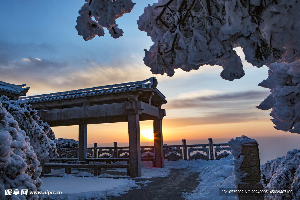 雪景