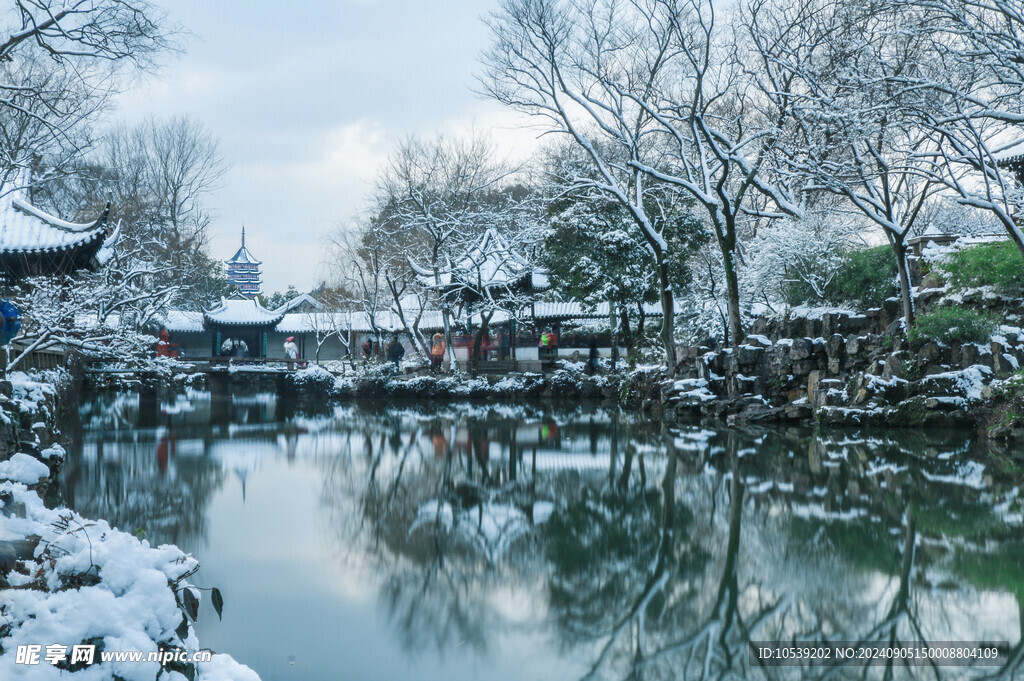 冬季雪景