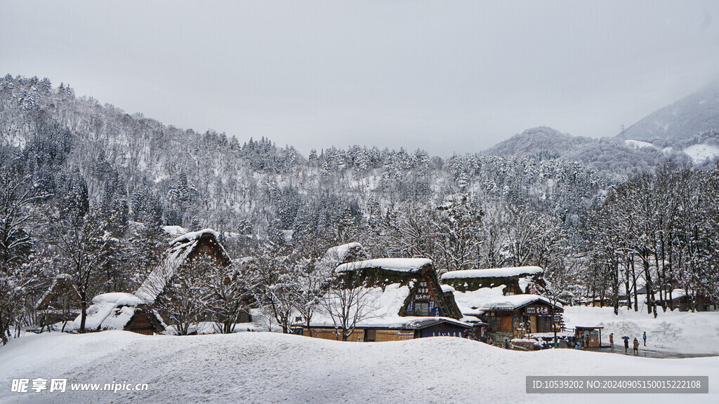 冬季雪景