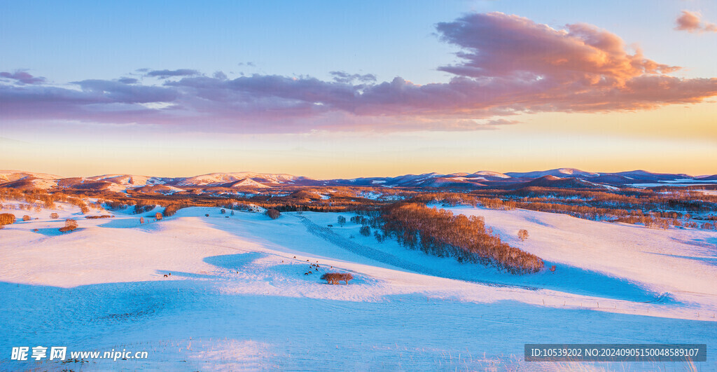冬季雪景