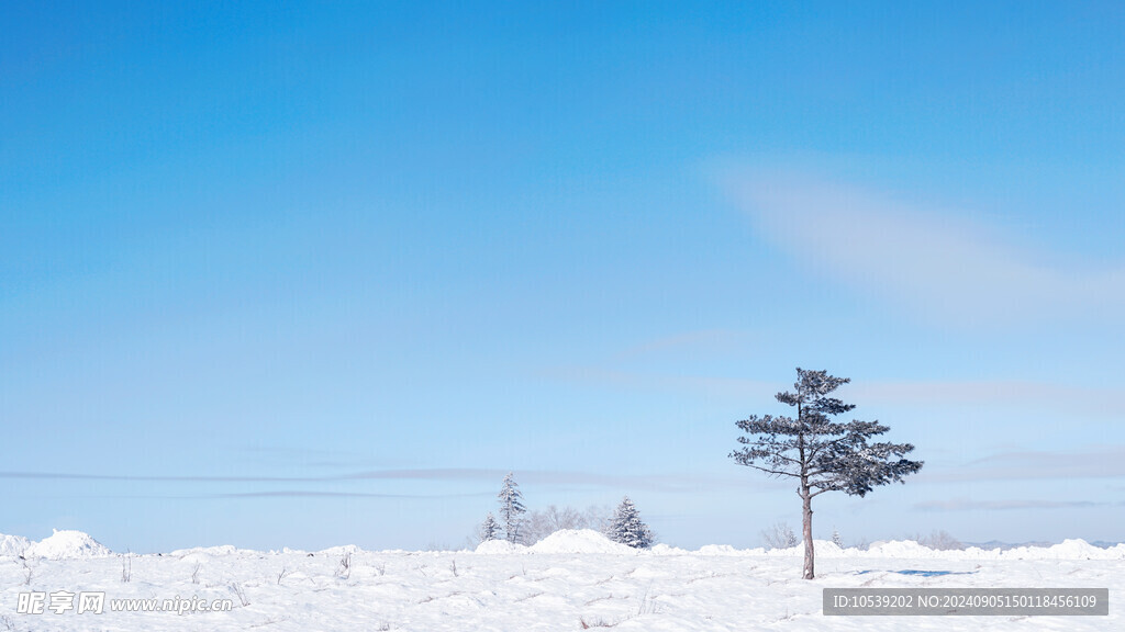 雪景