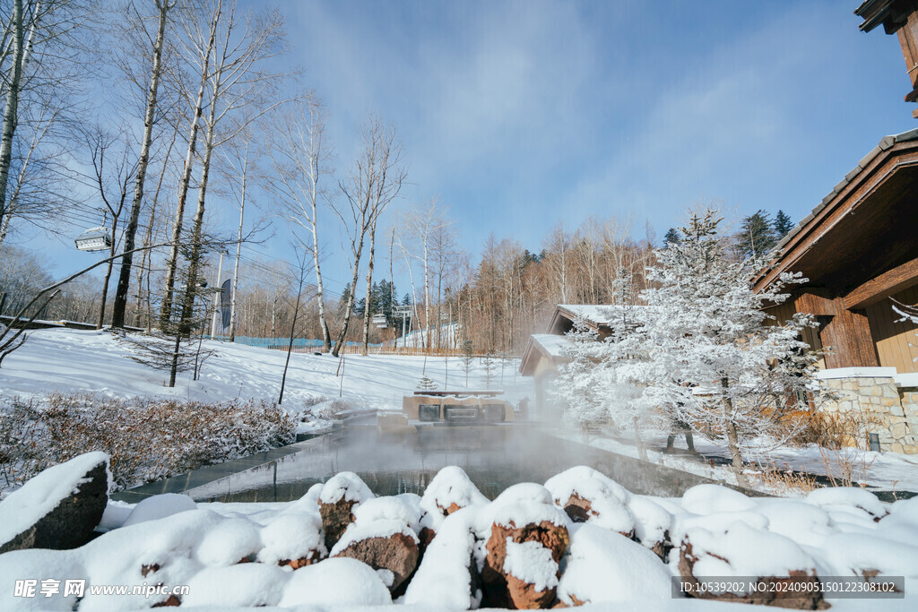 冬季雪景